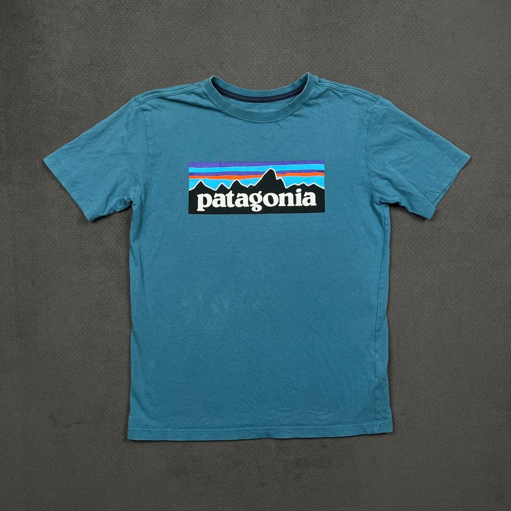 Patagonia P-6 Logo Shirt Boys XL 14 Blue Short Sleeve Organic Cotton 62163